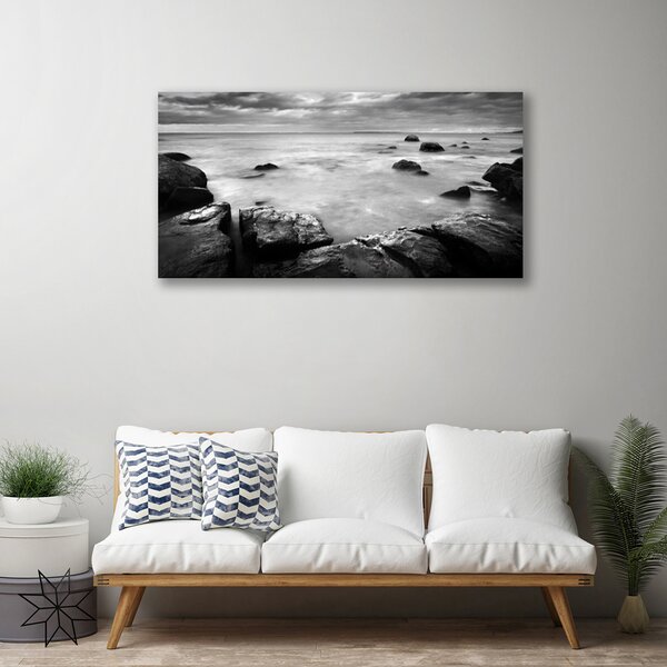 Obraz canvas Surowy Brzeg Oceanu