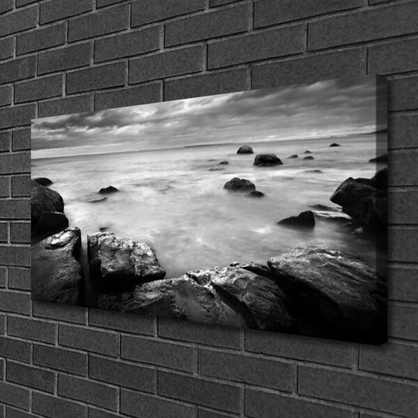 Obraz canvas Surowy Brzeg Oceanu