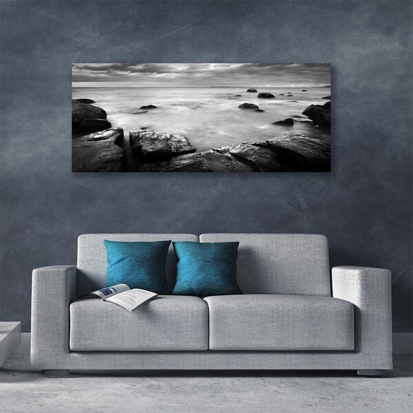 Obraz canvas Surowy Brzeg Oceanu