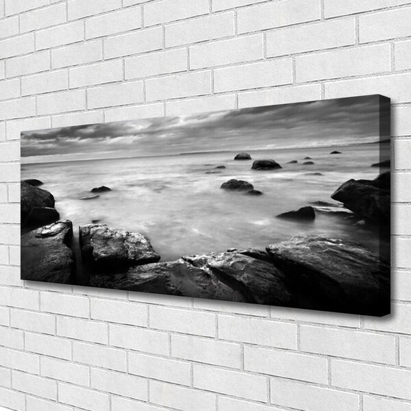 Obraz canvas Surowy Brzeg Oceanu