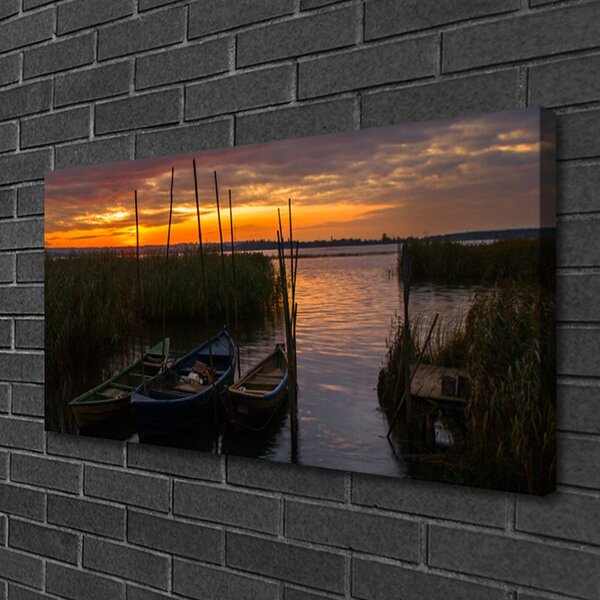 Obraz canvas Łodzie na Trawiastym Brzegu