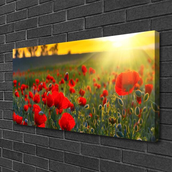 Obraz canvas Pole Czerwonych Maków