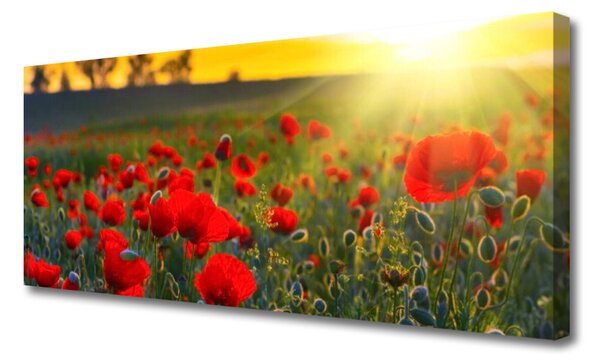 Obraz canvas Pole Czerwonych Maków