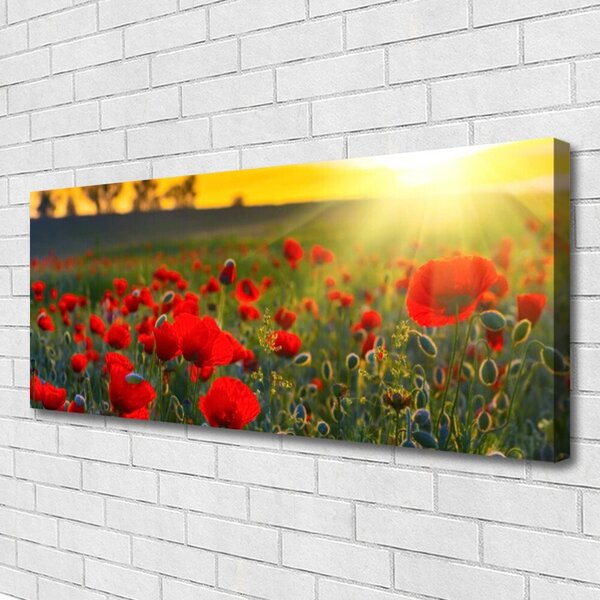 Obraz canvas Pole Czerwonych Maków