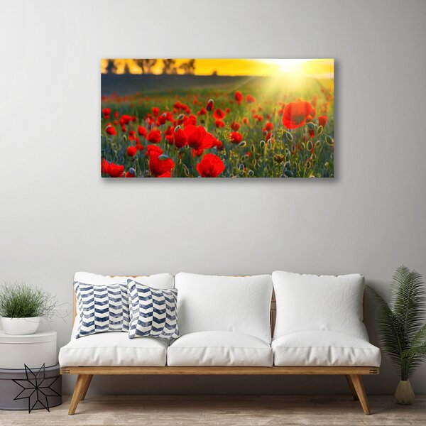 Obraz canvas Pole Czerwonych Maków