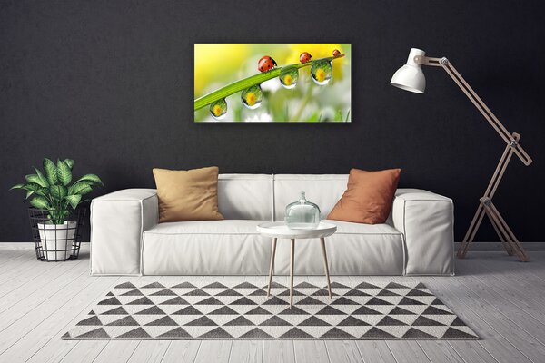 Obraz canvas na ścianę Biedronka na Zielonym Liściu
