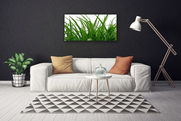 Obraz canvas na ścianę Świeżość Naturalnej Trawy