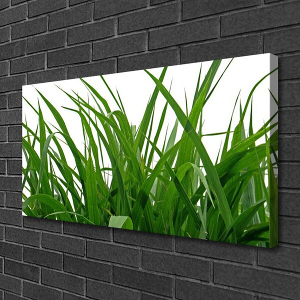Obraz canvas na ścianę Świeżość Naturalnej Trawy