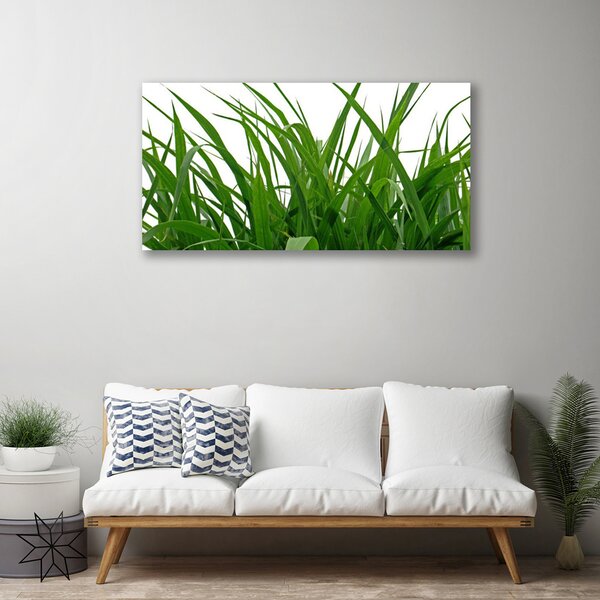 Obraz canvas na ścianę Świeżość Naturalnej Trawy