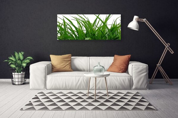 Obraz canvas na ścianę Świeżość Naturalnej Trawy