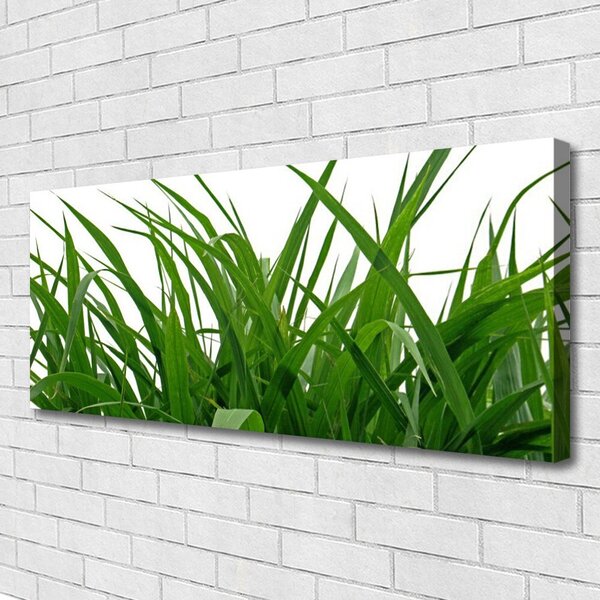 Obraz canvas na ścianę Świeżość Naturalnej Trawy