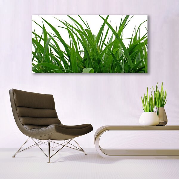 Obraz canvas na ścianę Świeżość Naturalnej Trawy