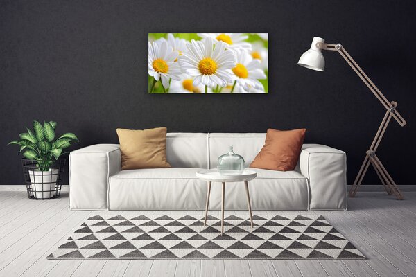 Obraz canvas Białe Stokrotki w Polu