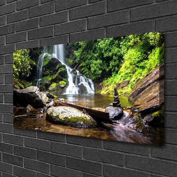 Obraz canvas Szumiący Leśny Potok