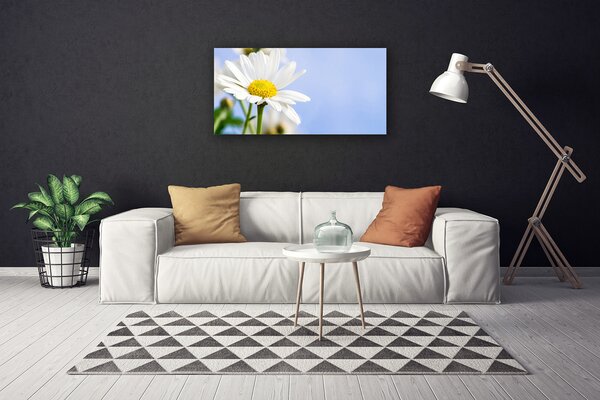 Obraz canvas Urok Polnej Stokrotki