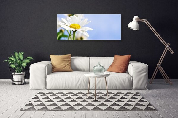 Obraz canvas Urok Polnej Stokrotki
