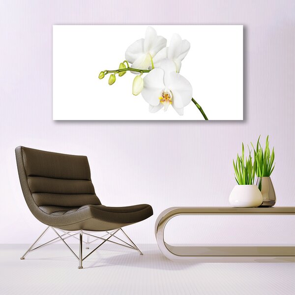 Obraz Szklany Orchidea Kwiaty Natura