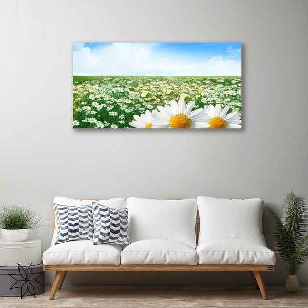 Obraz canvas Dywan Białych Stokrotek