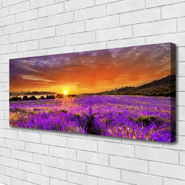 Obraz canvas Pole Lawendy o Zmierzchu