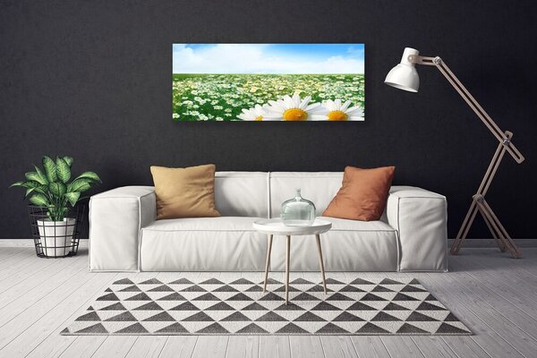 Obraz canvas Dywan Białych Stokrotek