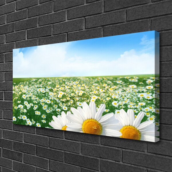 Obraz canvas Dywan Białych Stokrotek