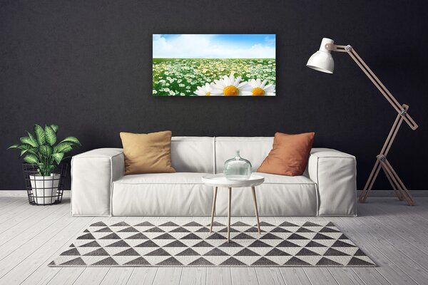 Obraz canvas Dywan Białych Stokrotek