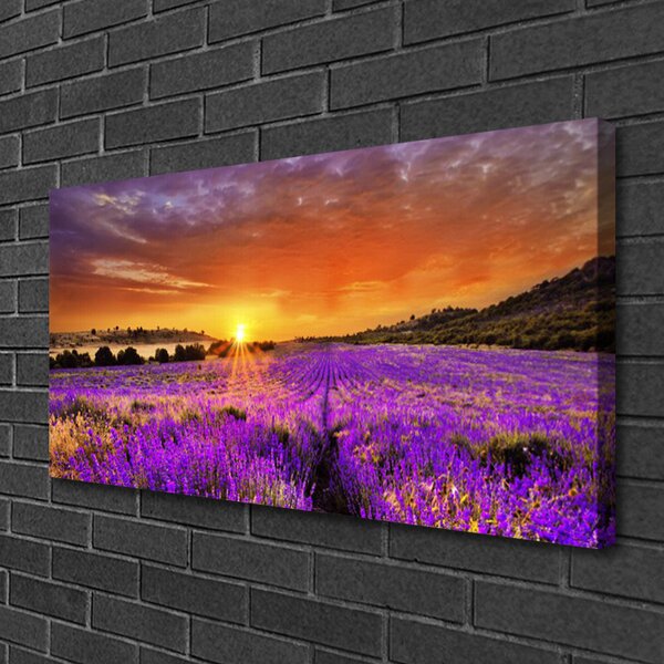Obraz canvas Pole Lawendy o Zmierzchu