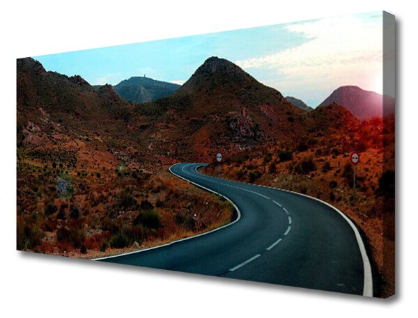 Obraz Canvas Droga Góry Pustynia