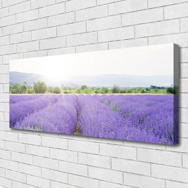 Obraz canvas Zapach Lawendowej Polany