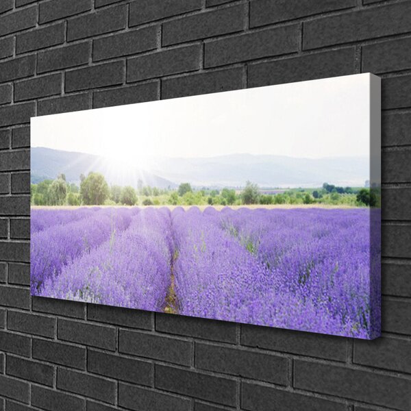 Obraz canvas Zapach Lawendowej Polany