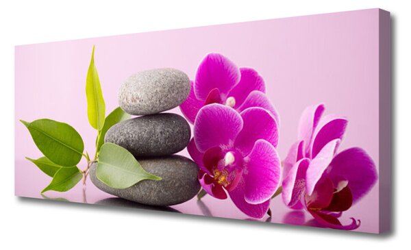 Zdjęcie na płótnie Fioletowa Orchidea w Detalu