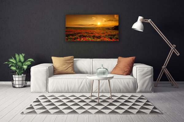 Obraz canvas Maki w Blasku Zachodzącego Słońca