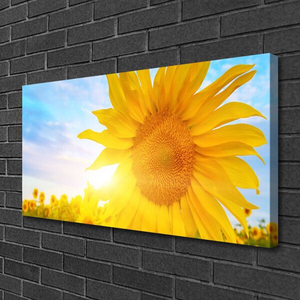 Obraz canvas Słonecznik w Pełnym Rozkwicie