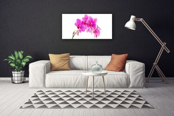 Obraz canvas Biała Orchidea na Płótnie