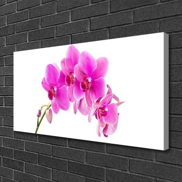 Obraz canvas Biała Orchidea na Płótnie