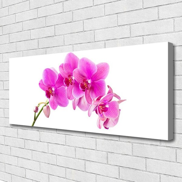 Obraz canvas Biała Orchidea na Płótnie