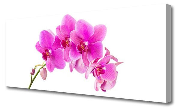 Obraz canvas Biała Orchidea na Płótnie