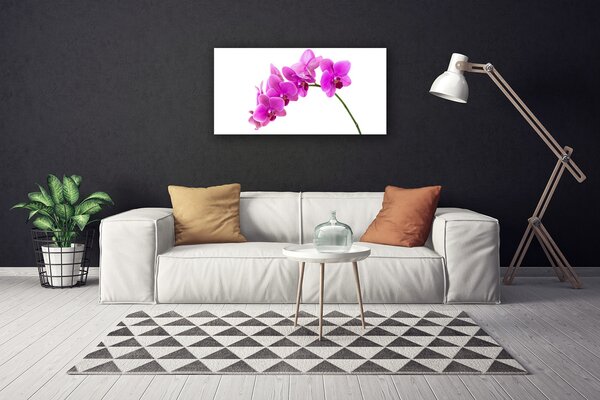 Obraz canvas Elegancja Egzotycznej Natury