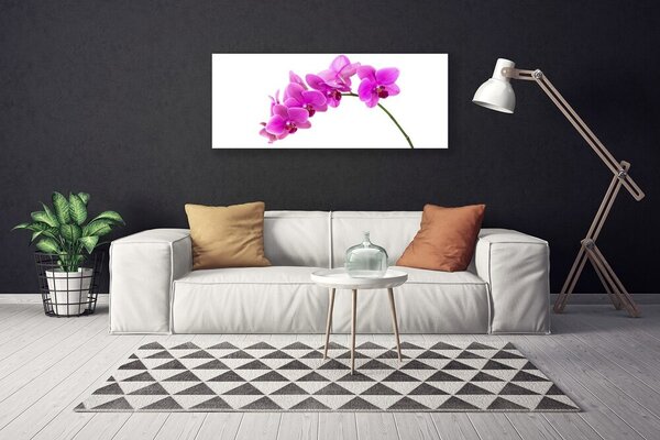 Obraz canvas Elegancja Egzotycznej Natury