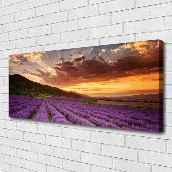 Obraz canvas na ścianę Lawendowy Pejzaż o Zmierzchu