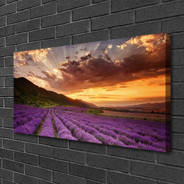 Obraz canvas na ścianę Lawendowy Pejzaż o Zmierzchu