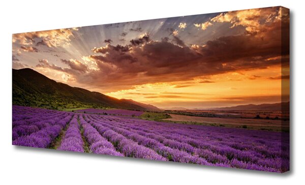 Obraz canvas na ścianę Lawendowy Pejzaż o Zmierzchu