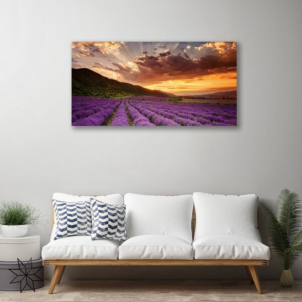 Obraz canvas na ścianę Lawendowy Pejzaż o Zmierzchu