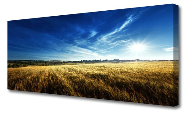 Obraz canvas na ścianę Słoneczne Łany Zboża