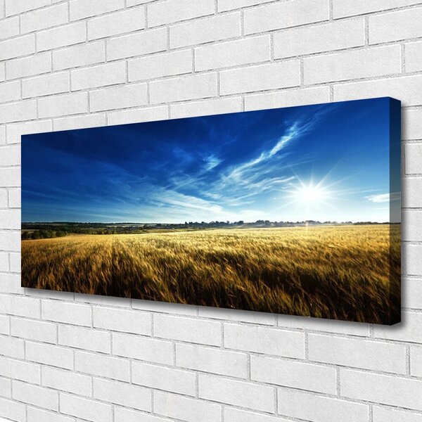 Obraz canvas na ścianę Słoneczne Łany Zboża