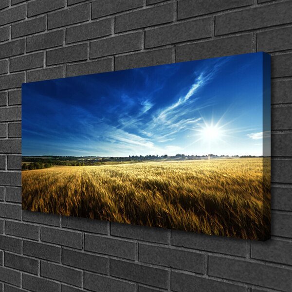 Obraz canvas na ścianę Słoneczne Łany Zboża