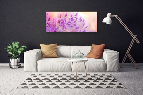 Obraz canvas na ścianę Słoneczny Dzień na Polu Lawendy