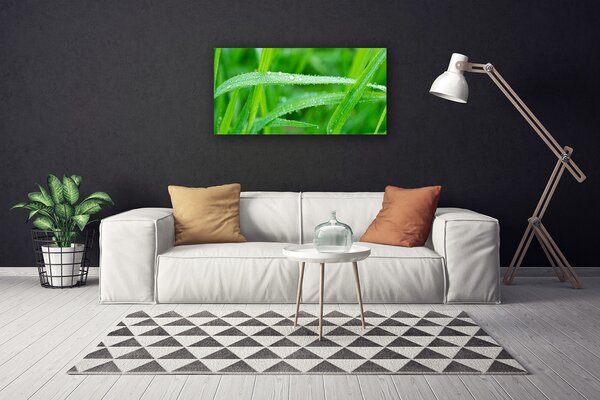 Obraz canvas na ścianę Krople Porannej Rosy na Liściu