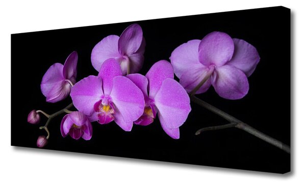 Obraz canvas na ścianę Stylowa Orchidea na Ścianę