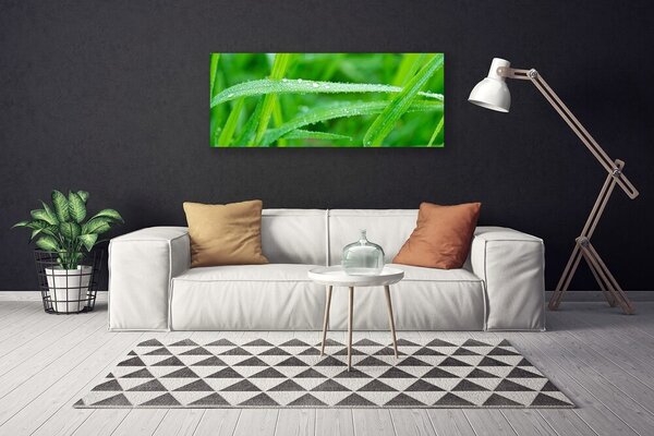 Obraz canvas na ścianę Krople Porannej Rosy na Liściu